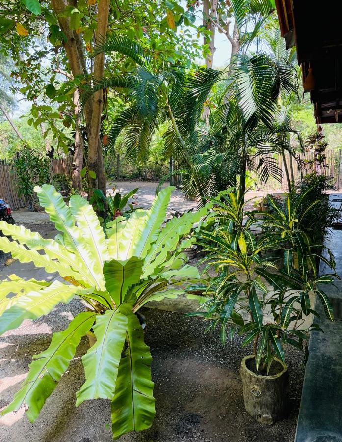 New Roy Guest House Kalkudah  Extérieur photo