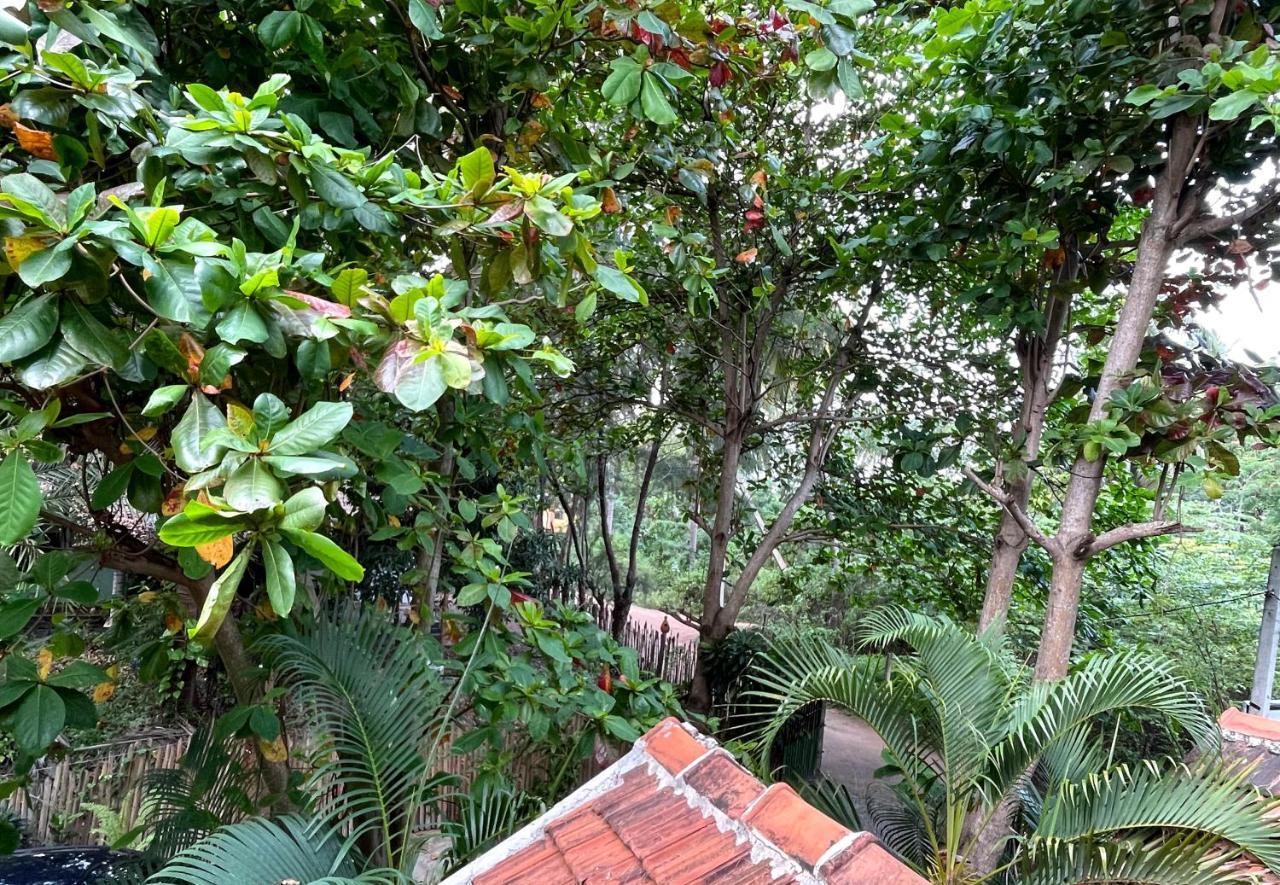 New Roy Guest House Kalkudah  Extérieur photo