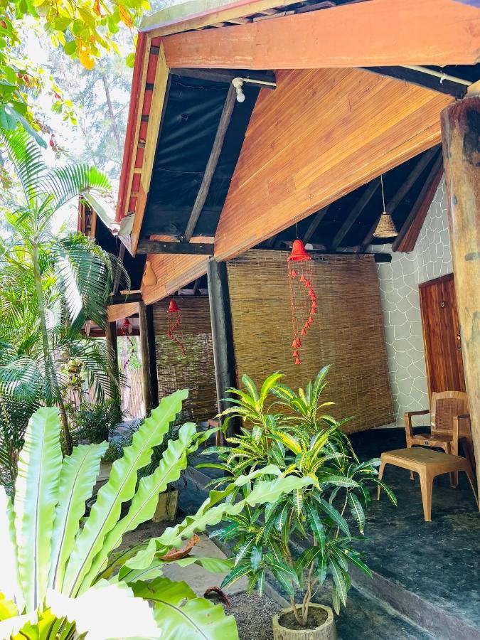 New Roy Guest House Kalkudah  Extérieur photo
