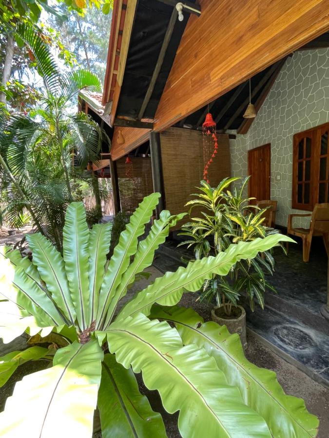New Roy Guest House Kalkudah  Extérieur photo