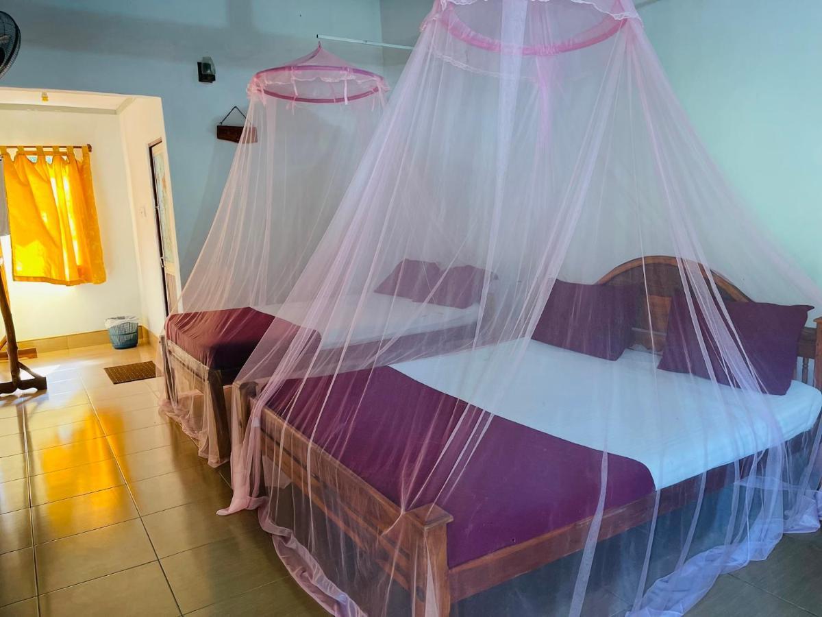 New Roy Guest House Kalkudah  Extérieur photo